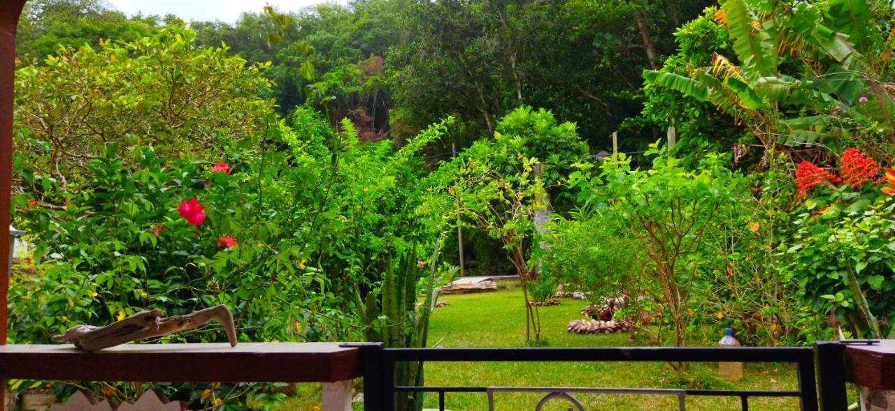 לה דיג Dan Zoranz Self Catering Guest House מראה חיצוני תמונה