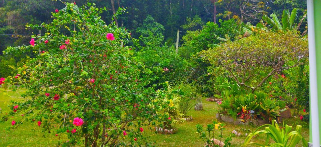 לה דיג Dan Zoranz Self Catering Guest House מראה חיצוני תמונה