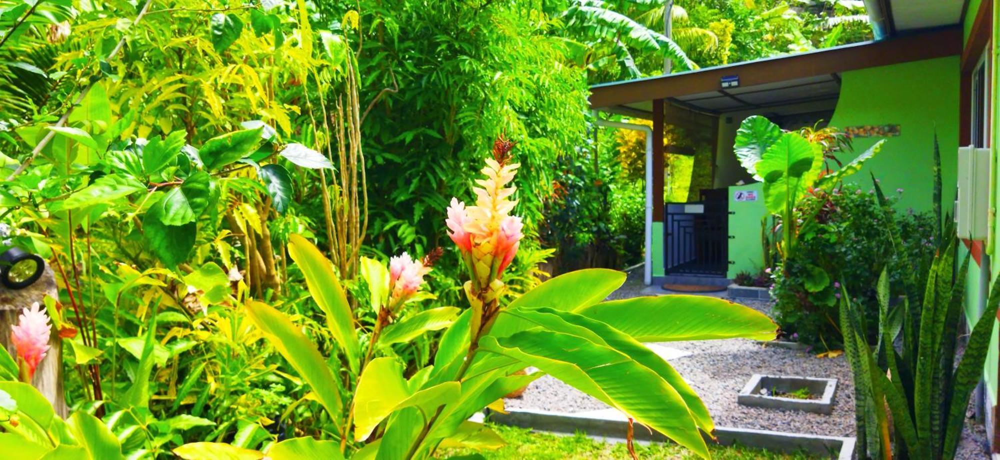 לה דיג Dan Zoranz Self Catering Guest House מראה חיצוני תמונה