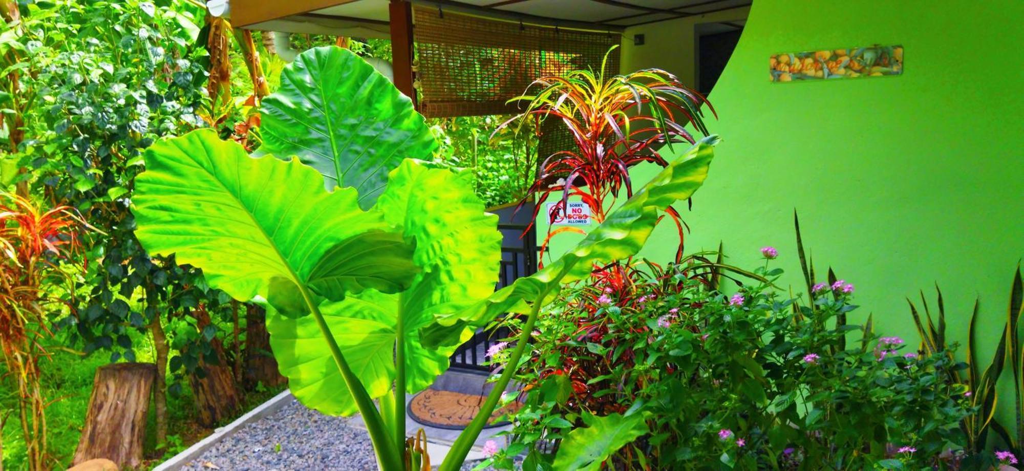 לה דיג Dan Zoranz Self Catering Guest House מראה חיצוני תמונה
